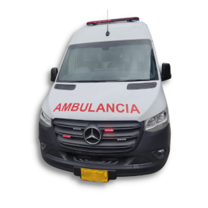 Mercdes Sprinter 4x2_1